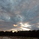 Номинация - Природа Родного края. Екатерина Бутусова. Золотые блики